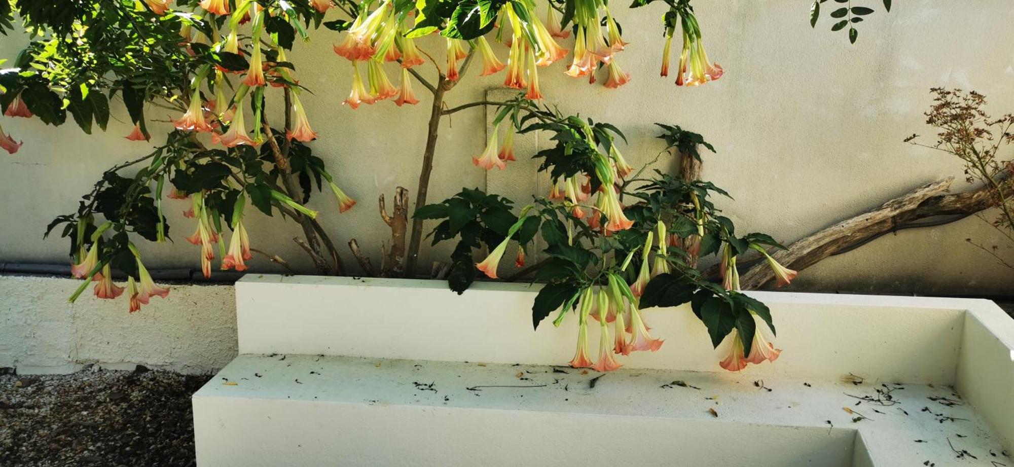 Maison Magnolia Marcorignan Eksteriør bilde